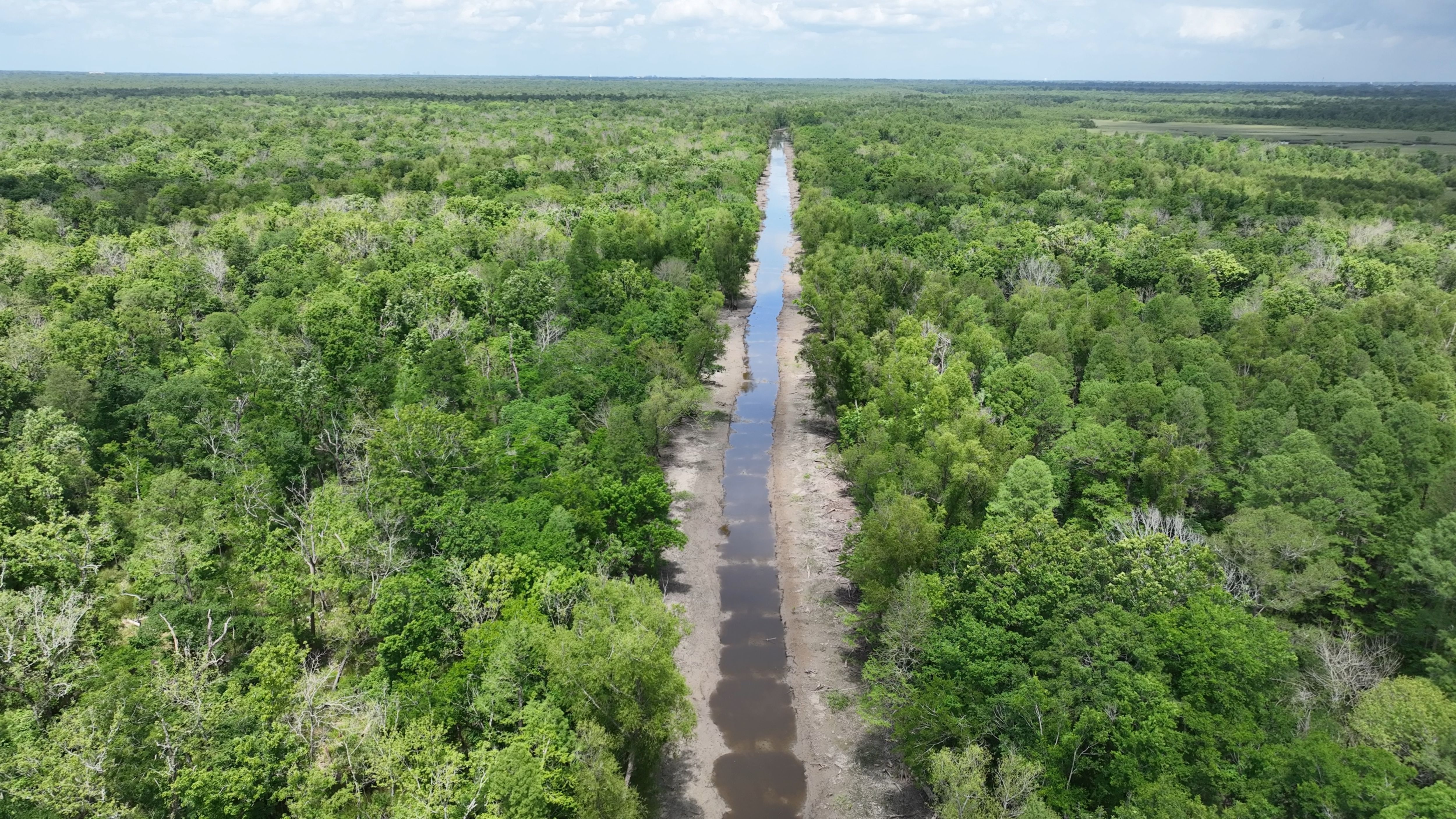 Listing Photo: Iberville Parish Hunting Land